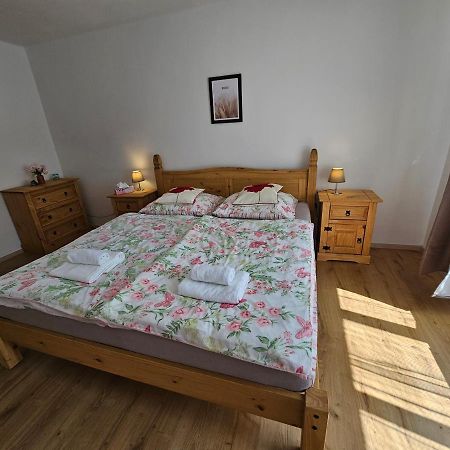 Apartman U Labe Decin Extérieur photo