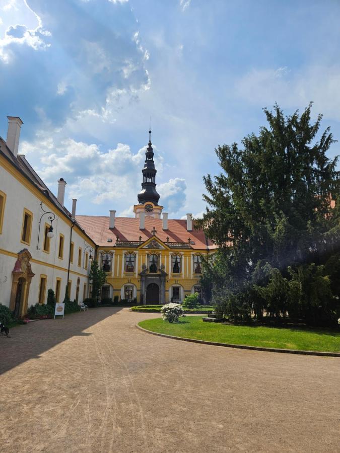 Apartman U Labe Decin Extérieur photo